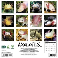 Axolotls 2026 Wall Calendar