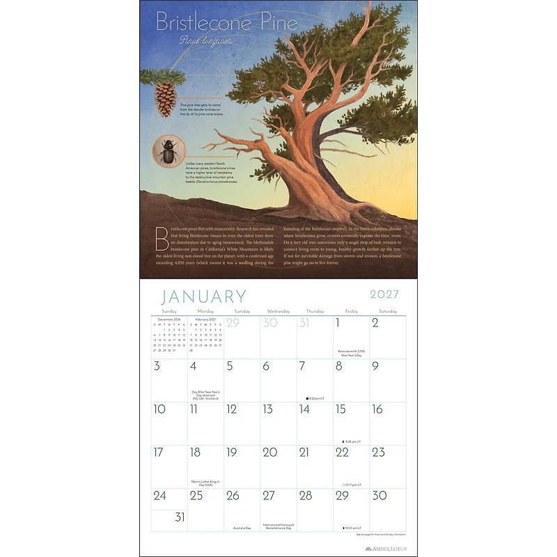 Trees of Life 2027 Wall Calendar - Online Only