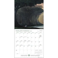 Forest Meditations 2027 Wall Calendar / Meditaciones del Bosque 2027 Calendario