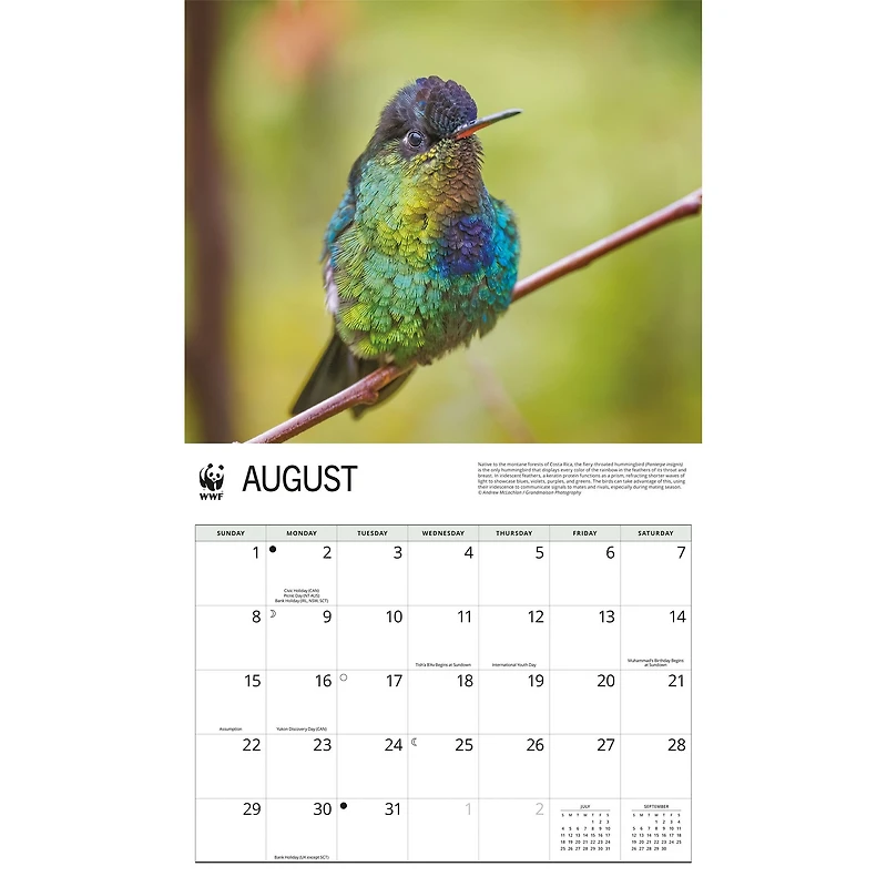 World Wildlife Fund Hummingbirds 2027 Wall Calendar