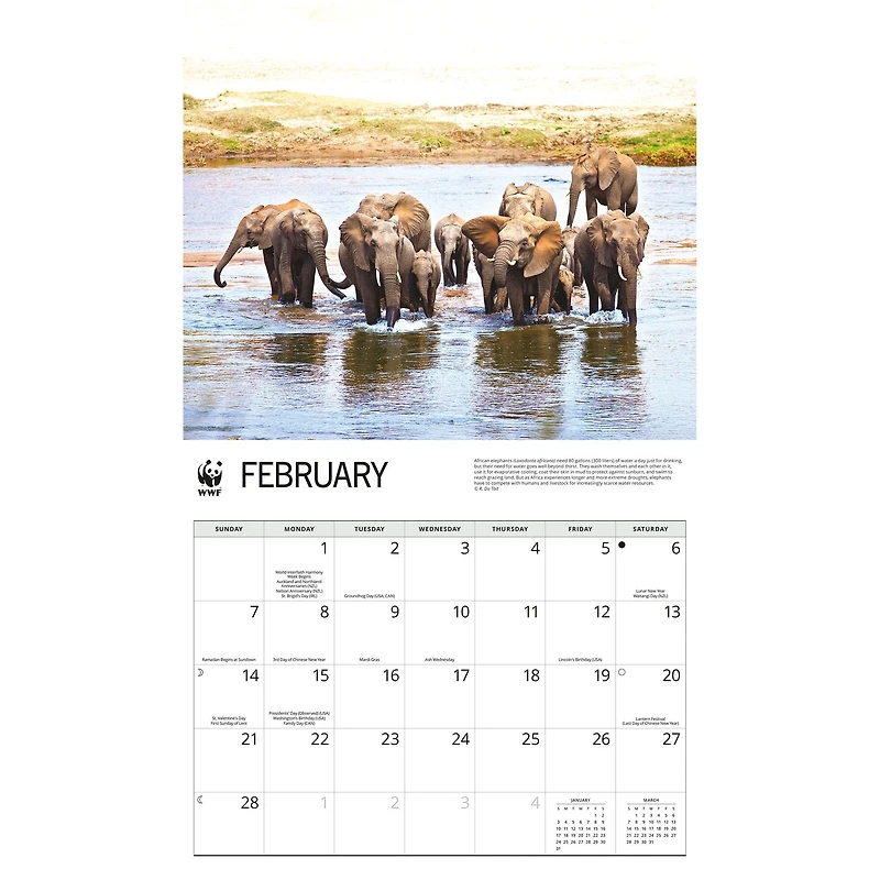 World Wildlife Fund Elephants 2027 Wall Calendar