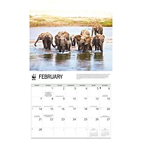 World Wildlife Fund Elephants 2027 Wall Calendar