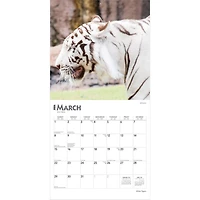 White Tigers 2026 Wall Calendar