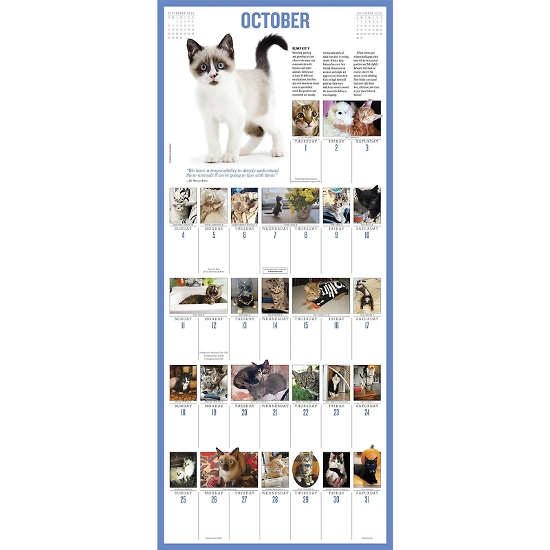 Kittens 365 2026 Wall Calendar