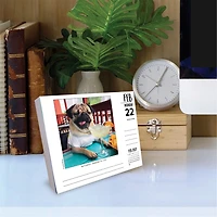 Doug the Pug 2027 Box Calendar