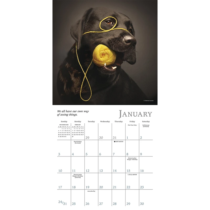 Dogma 2027 Mini Calendar