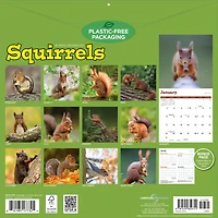 Squirrels 2027 Wall Calendar