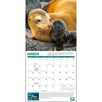Project Green 2027 Wall Calendar