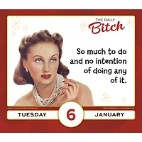 Daily Bitch 2026 Box Calendar