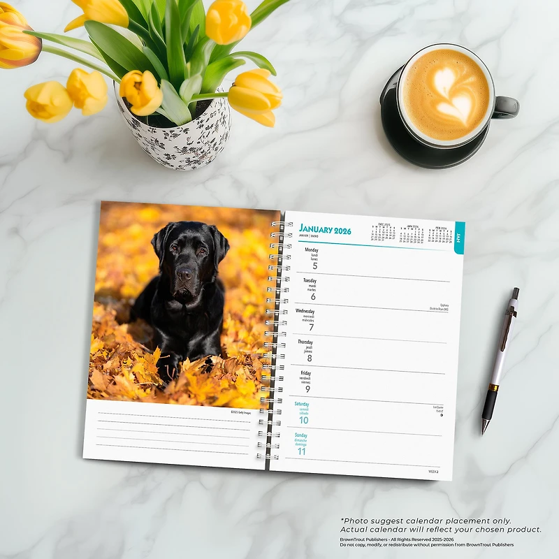 Black Labs 2026 Engagement Calendar - Online Only