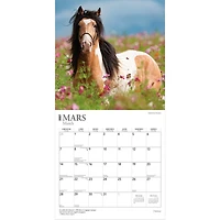 Chevaux 2027 Wall Calendar (French)