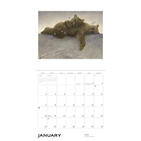 Spirit The Paintings Of Robert Bissell 2026 Wall Calendar
