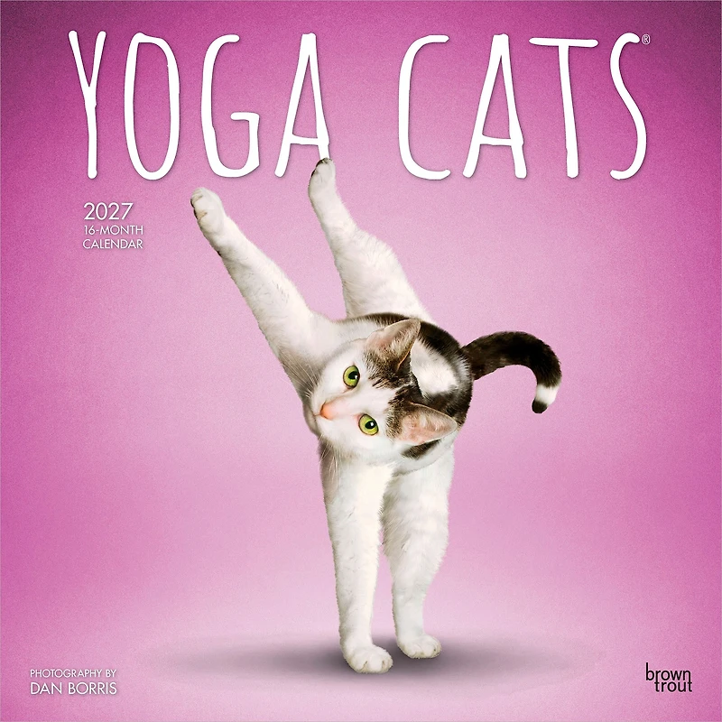 Yoga Cats 2027 Wall Calendar