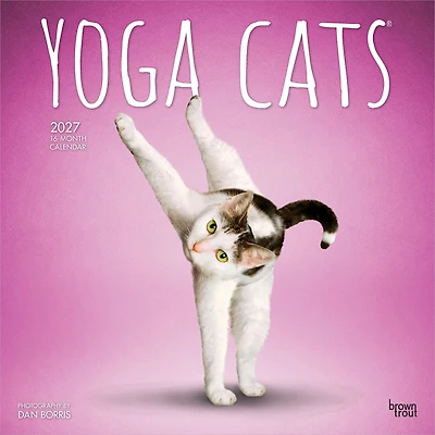 Yoga Cats 2027 Wall Calendar