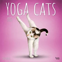 Yoga Cats 2027 Wall Calendar