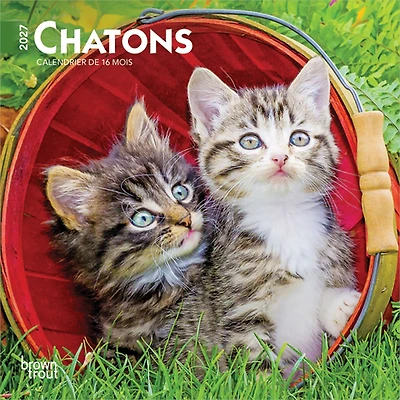 Chatons 2027 Mini Calendar (French)