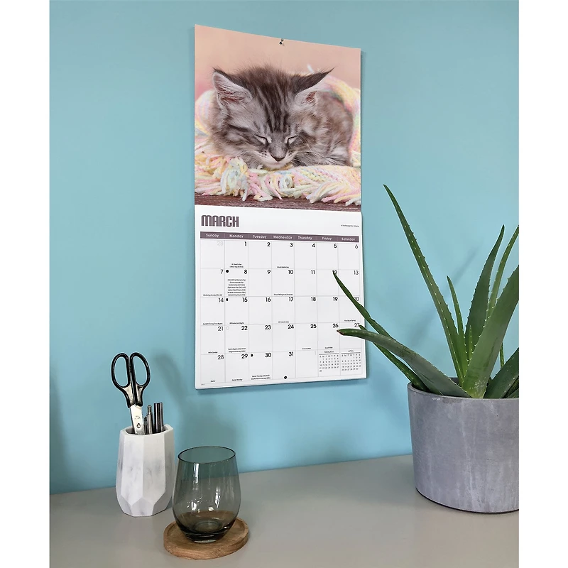 Kitty Naps 2027 Wall Calendar