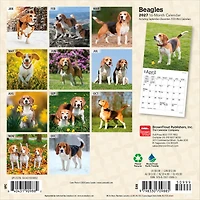 Beagles 2027 Mini Calendar