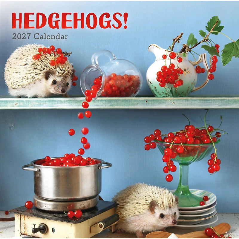 Hedgehogs! 2027 Wall Calendar