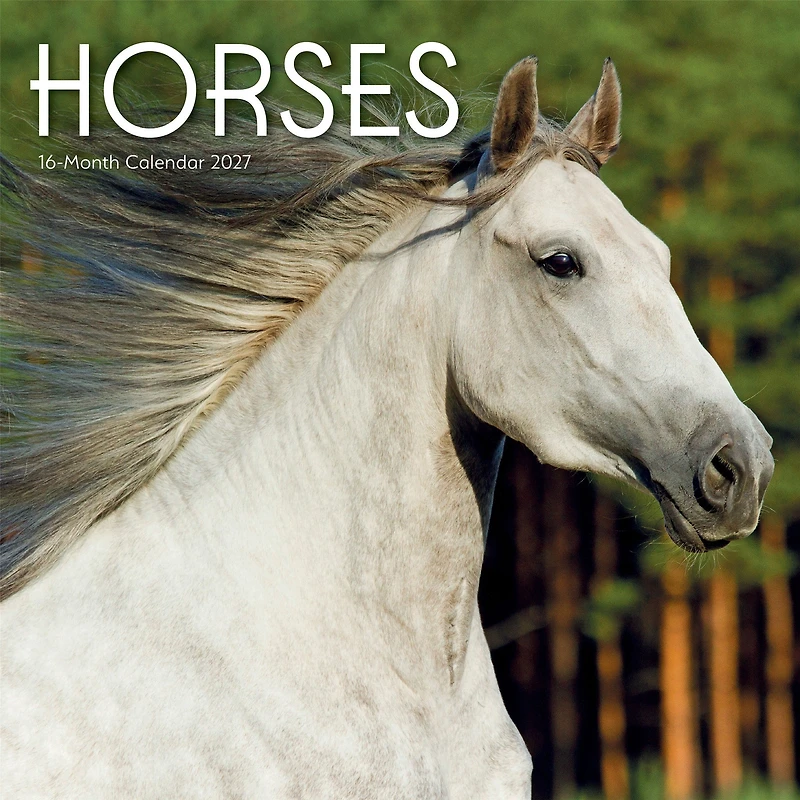 Horses 2027 Wall Calendar