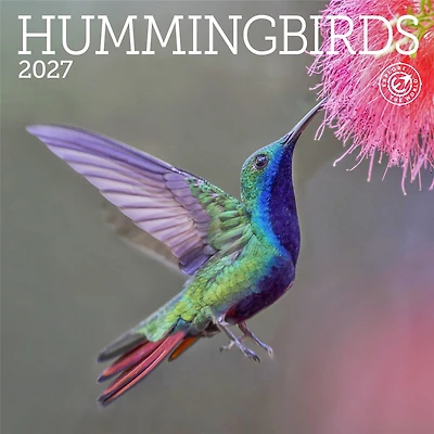 Hummingbirds 2027 Mini Calendar