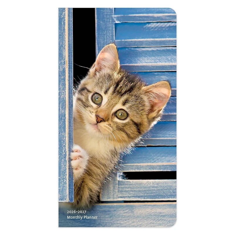 Kitten Cuddles 2026 2 Yr Pocket Planner Calendar