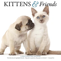 Kittens And Friends Wall  2026 Calendar