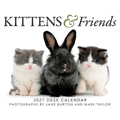 Kittens and Friends 2027 Box Calendar