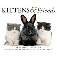 Kittens and Friends 2027 Box Calendar