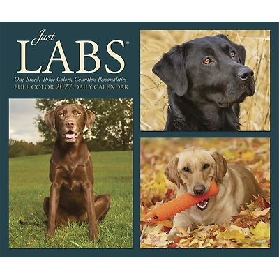 Labs 2027 Box Calendar - Online Only