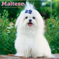 Maltese 2027 Wall Calendar