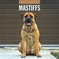 Mastiffs 2027 Wall Calendar