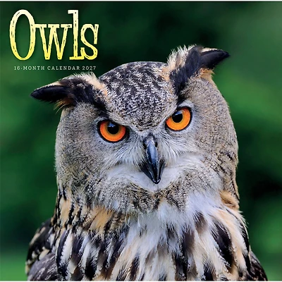 Owls 2027 Wall Calendar