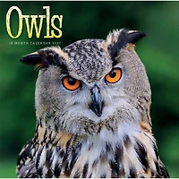 Owls 2027 Wall Calendar