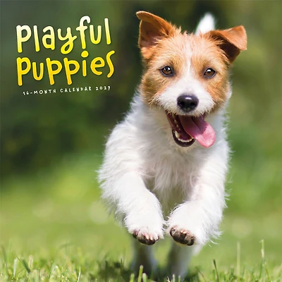 Playful Puppies 2027 Wall Calendar