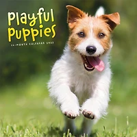 Playful Puppies 2027 Wall Calendar