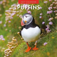 Puffins 2027 Wall Calendar