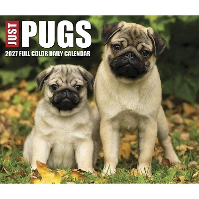 Pugs 2027 Box Calendar - Online Only