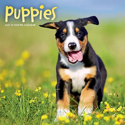 Puppies 2027 Wall Calendar