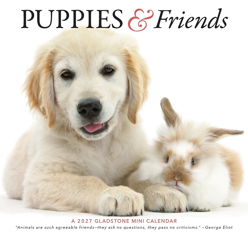 Puppies and Friends 2027 Mini Calendar