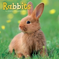 Rabbits 2027 Wall Calendar