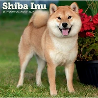 Shiba Inu 2027 Wall Calendar