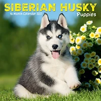 Siberian Husky Puppies 2027 Mini Calendar