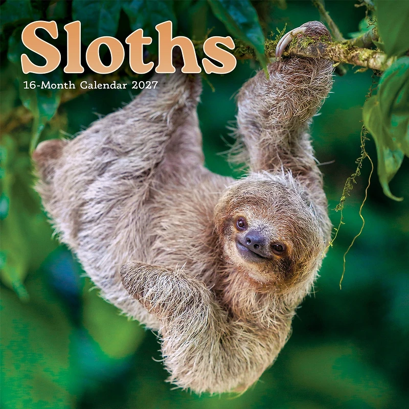 Sloths 2027 Mini Calendar