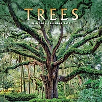 Trees 2027 Wall Calendar