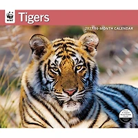 World Wildlife Fund Tigers 2027 Wall Calendar