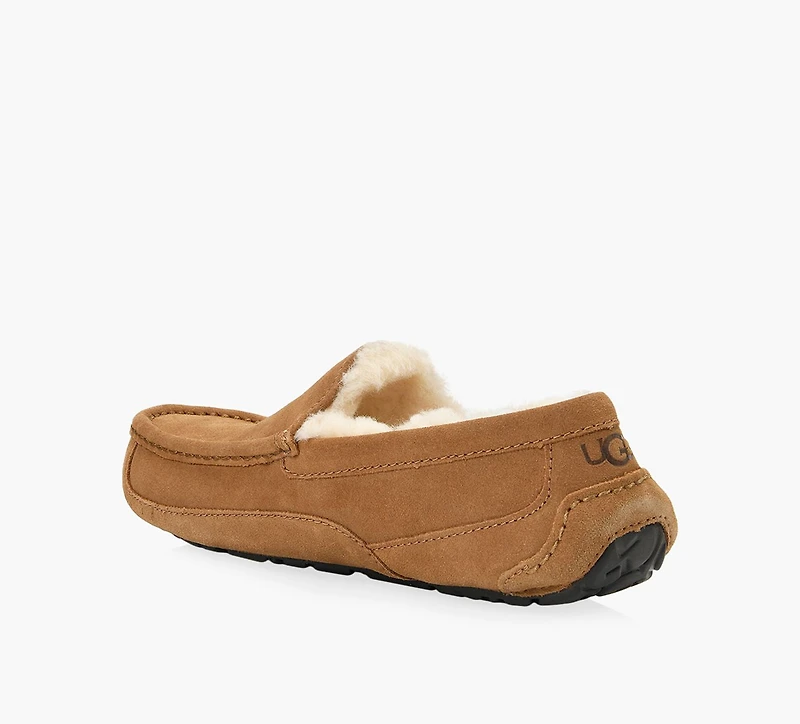 UGG | ASCOT TAN HOMMES