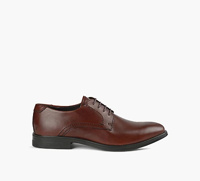 ECCO | DERBY MELBOURNE BRUN HOMMES