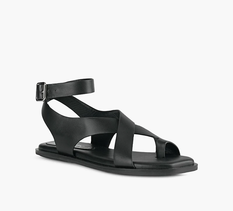 MIMOSA | MERLOT NOIR FEMMES