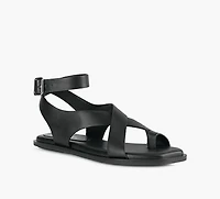 MIMOSA | MERLOT NOIR FEMMES